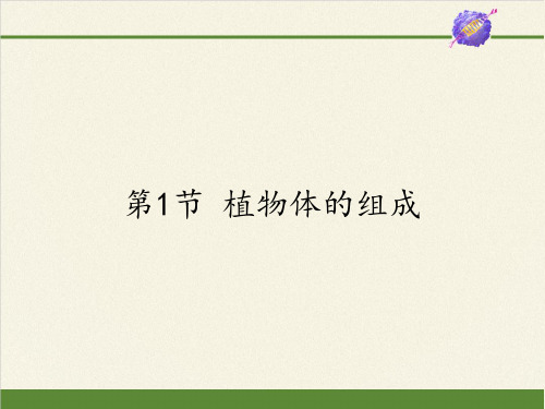 苏科版初中生物七年级下册课件-4.9.1 植物体的组成5