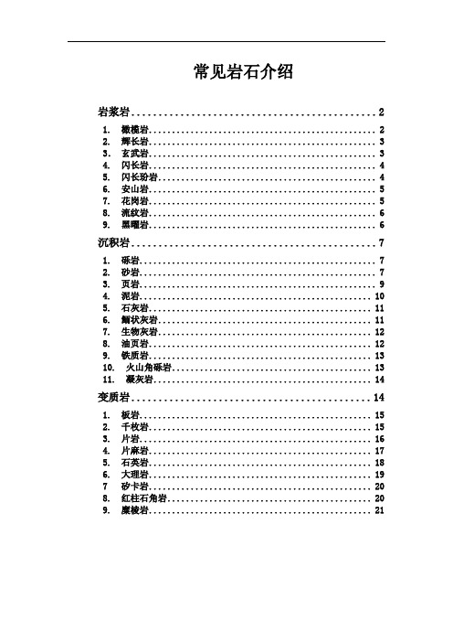 常见岩石