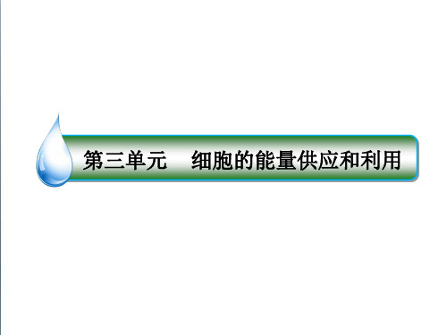 2019版高考一轮课件：3-10ATP的主要来源——细胞呼吸