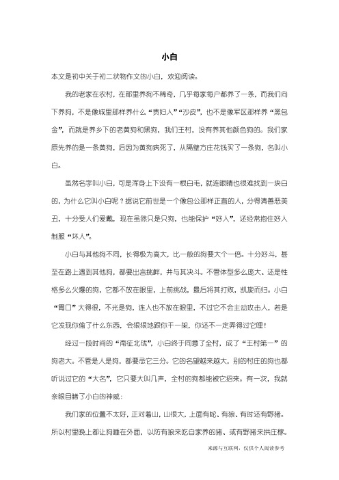 初二状物作文:小白