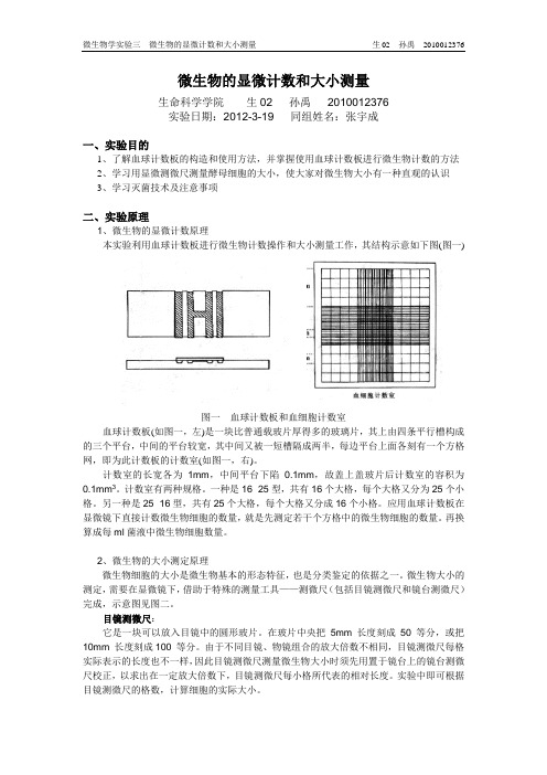 03-微生物的显微计数和大小测量