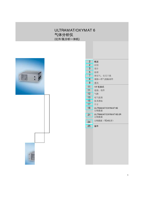 ULTRAMAT OXYMAT 6型气体分析仪