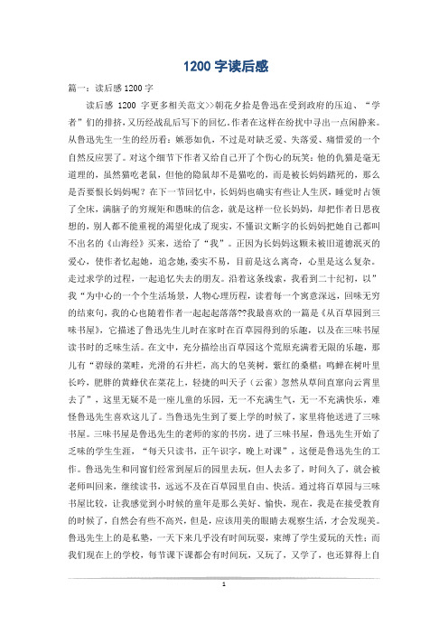 1200字读后感