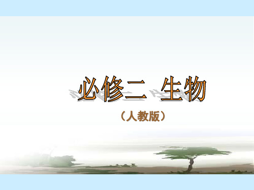 3.4基因是有遗传效应的DNA片段-2020-2021学年高一生物人教版必修2