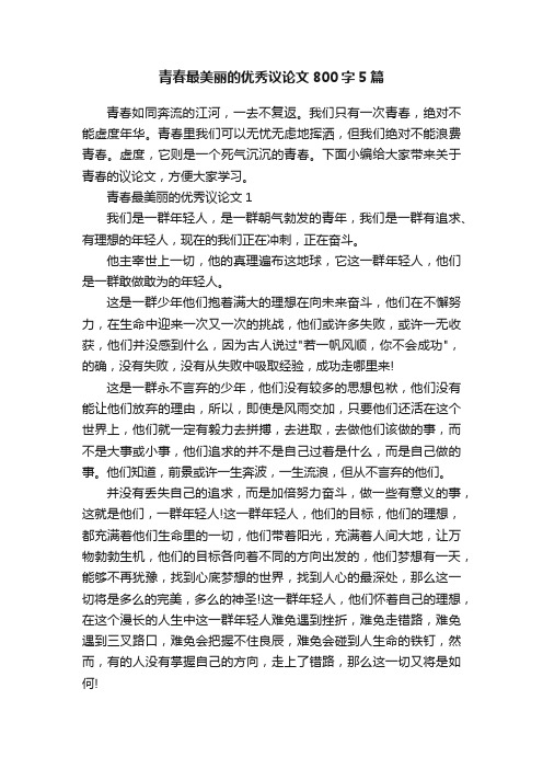 青春最美丽的优秀议论文800字5篇