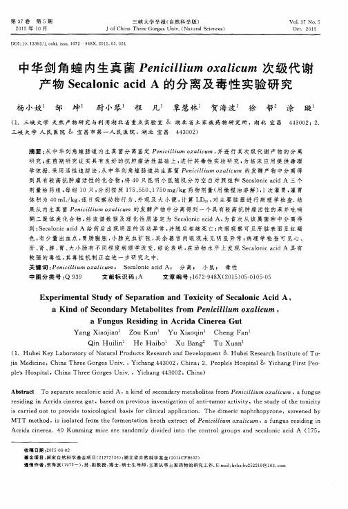 中华剑角蝗内生真菌Penicillium oxalicum次级代谢产物Secalonic acid A的分离