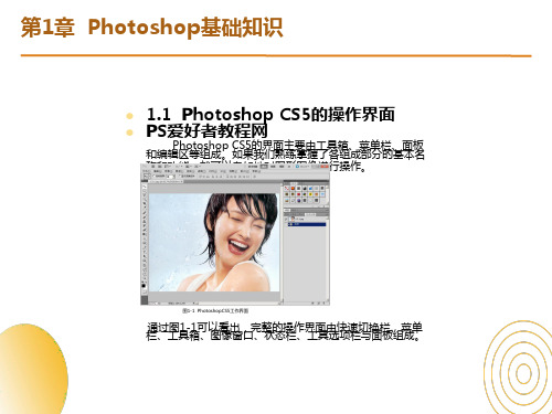 熟悉PhotoshopCS5界面