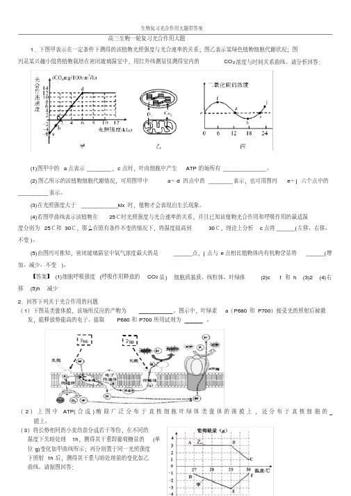 生物复习光合作用大题带答案