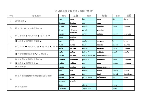英语名词单数变复数举例及练习