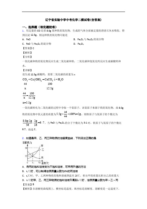 辽宁省实验中学中考化学二模试卷(含答案)