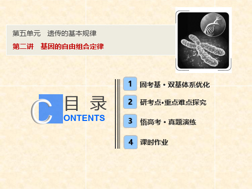 高考生物一轮复习 第五单元 遗传的基本规律 第二讲 基因的自由组合定律课件 苏教版