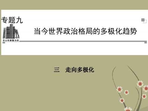 高中历史 9.3 走向多极化课件 人民版必修1