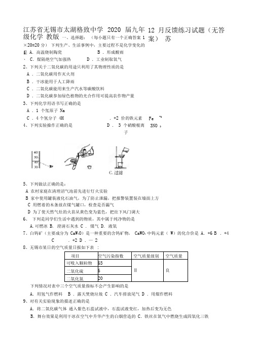 江苏省无锡市太湖格致中学2020届九年级化学12月反馈练习试题(无答案)苏教版