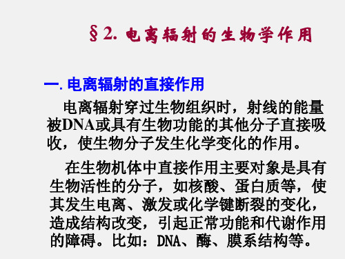 2.电离辐射的生物学作用 3.生物靶的调节作用 4.影响电离辐射作用的主要因素