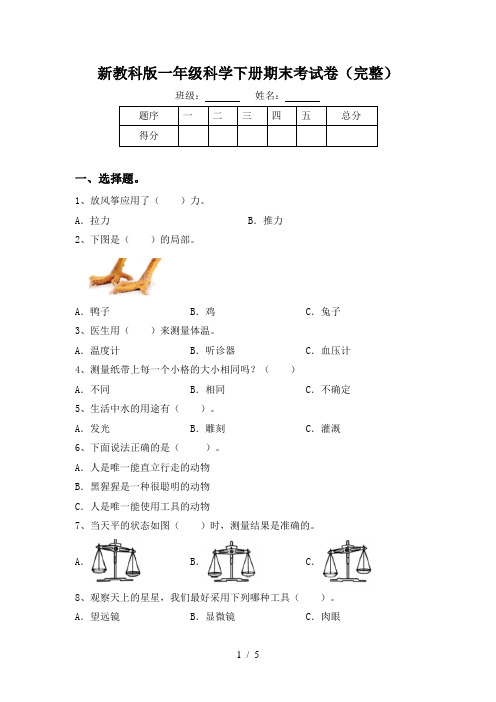 新教科版一年级科学下册期末考试卷(完整)