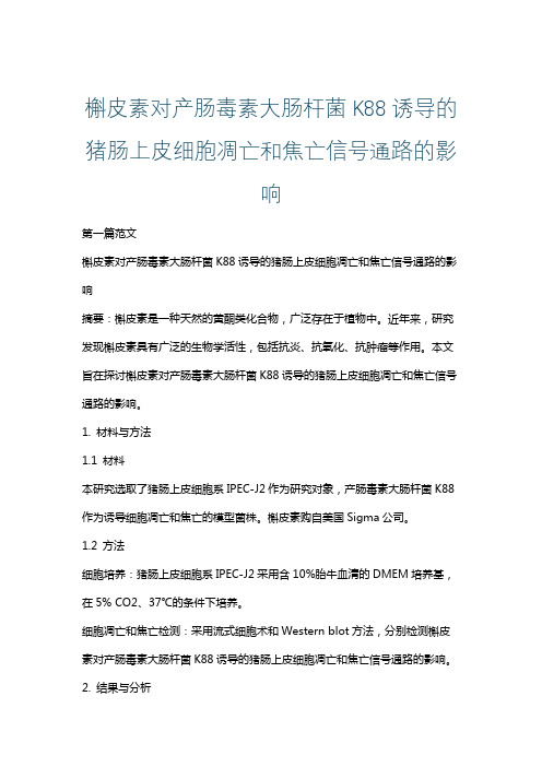 槲皮素对产肠毒素大肠杆菌K88诱导的猪肠上皮细胞凋亡和焦亡信号通路的影响