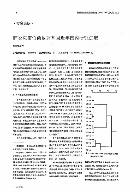 肺炎克雷伯菌耐药基因近年国内研究进展