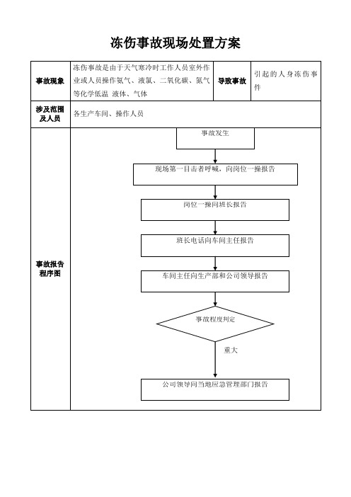 冻伤事故事故现场处置方案模板