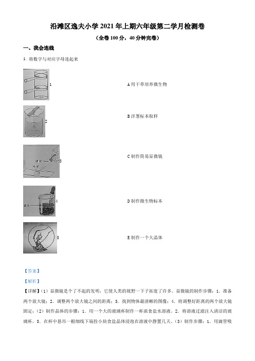 2020-2021学年四川省自贡市沿滩区逸夫小学校教科版六年级下册第二次月考科学试卷(解析版)