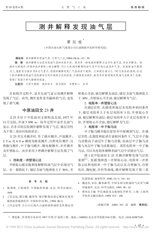 测井解释发现油气层_谭廷栋