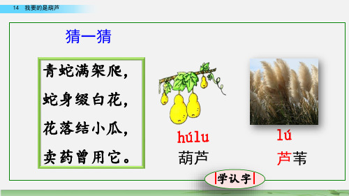 部编语文二年级上册14 我要的是葫芦