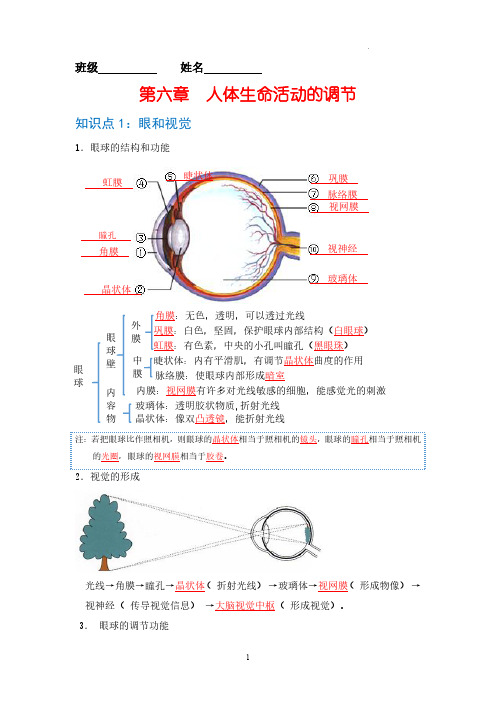 归纳06 人体生命活动的调节-七年级生物必背知识清单(人教版七年级下册)0