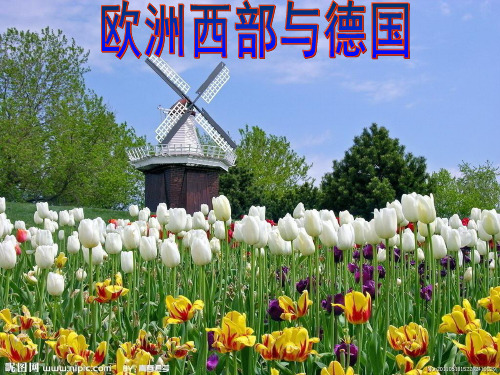 高考世界地理一轮复习 区域地理复习之欧洲西部与德国