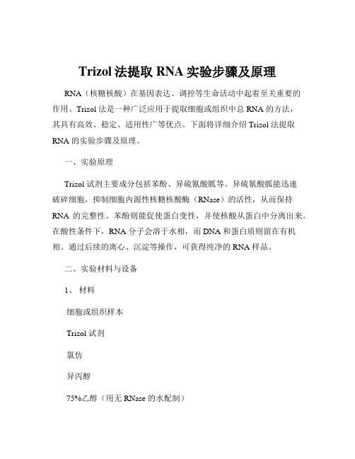 Trizol法提取RNA实验步骤及原理