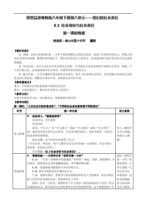 社会责任与社会身份教案