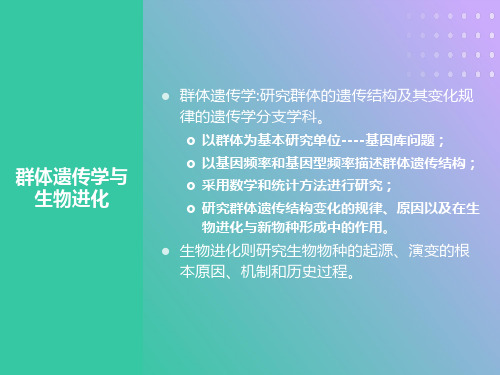 遗传学第十章群体遗传与进化