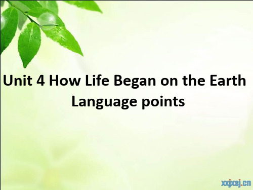 Unit_4_How_Life_Began_on_the_Earth_Language_points分析