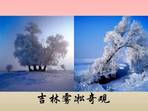 初中语文课件·《雪》(共49张PPT)