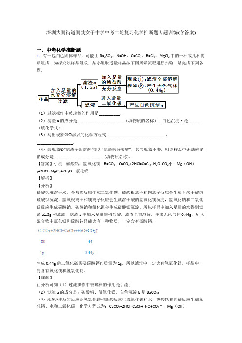 深圳大鹏街道鹏城女子中学中考二轮复习化学推断题专题训练(含答案)