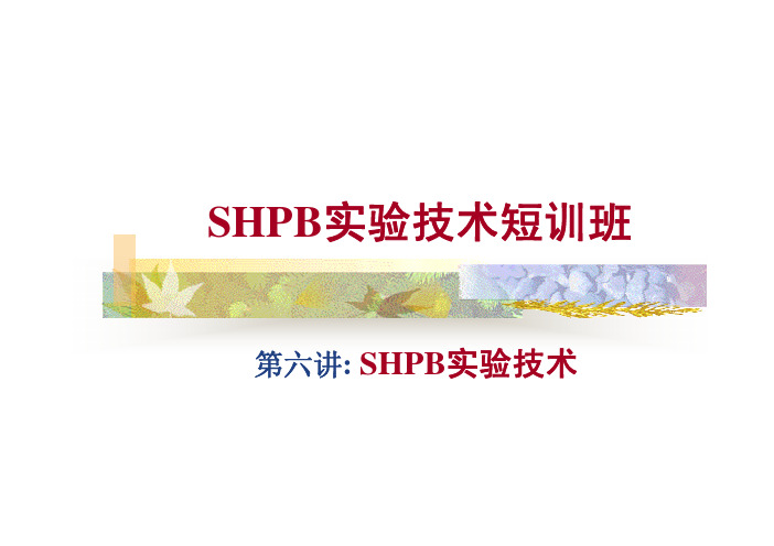 讲座中科大SHPB实验技术短训班(6)SHPB实验技术概要