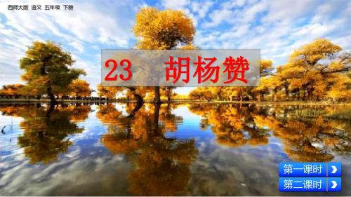 五年级下册语文课件-23 胡杨赞 西师大版(共40张PPT)