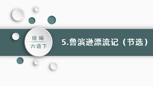 统编(部编)版语文6年级下册 第2单元 鲁滨逊漂流记(节选) 课件(共47张PPT)