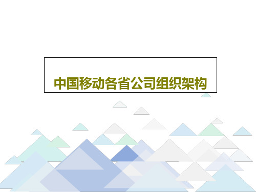 中国移动各省公司组织架构共18页