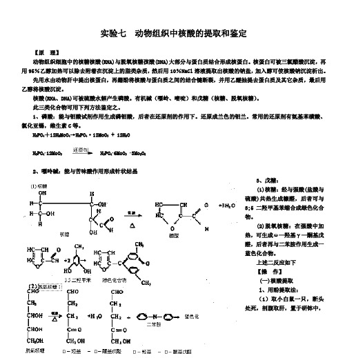 实验九 动物组织中核酸的提取和鉴定