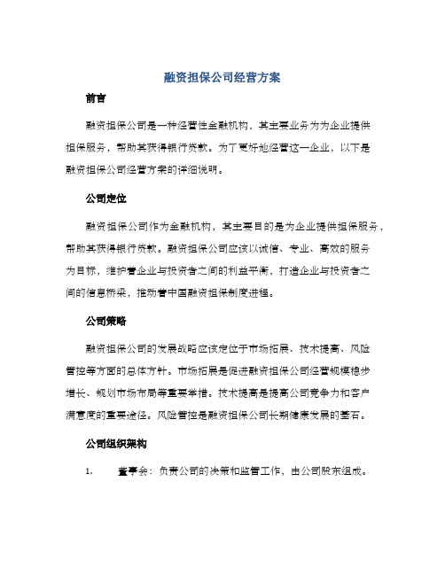 融资担保公司经营方案