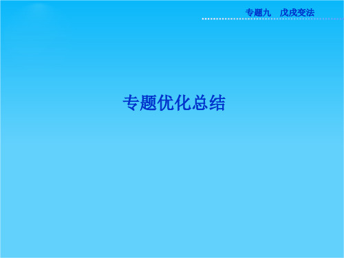 人民版高二历史选修1精品课件 专题九专题优化总结