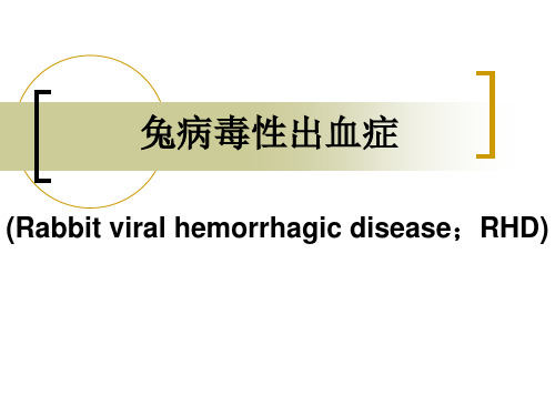 11 兔病毒性出血症