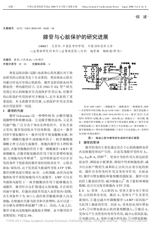 腺苷与心脏保护的研究进展_赵京林