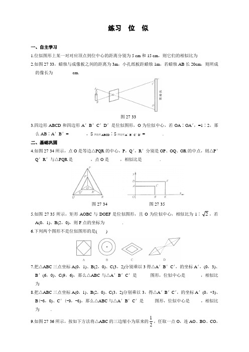 人教版九年级数学下册27.3 位似 同步练习附答案【选新】