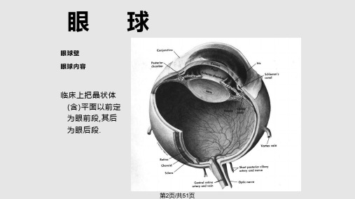 眼部解剖与生理课件.pptx