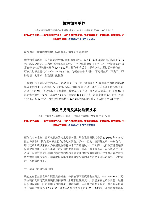 鳜鱼如何单养