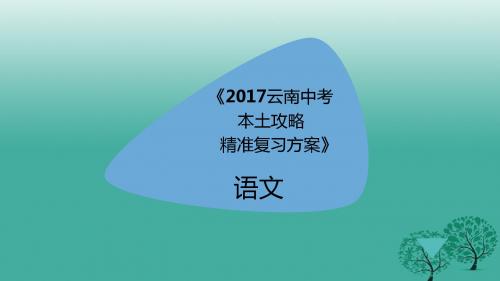 云南省2017届中考语文总复习:记叙文精准复习ppt课件