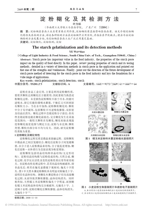 淀粉糊化及其检测方法