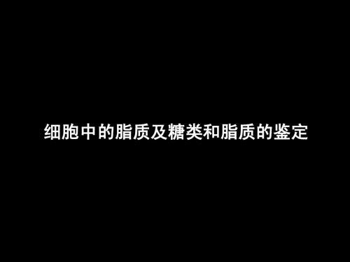 细胞中的脂质及糖类和脂质的鉴定