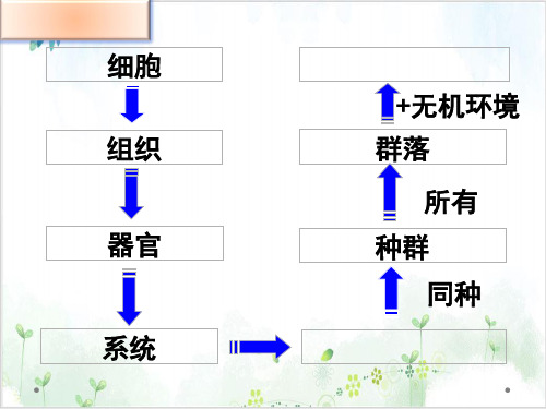 [人教版]《生态系统的结构》经典课件1