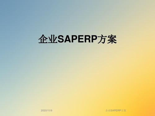 企业SAPERP方案